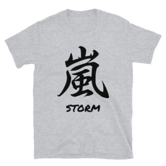 Japanese Kanji "Storm" Calligraphy T-Shirt